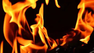 Pixabay, фото - Новости Zakon.kz от 21.01.2020 01:16