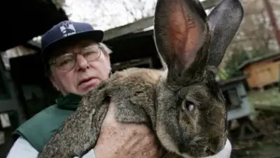 Zakon.kz, фото - Новости Zakon.kz от 26.04.2017 23:49