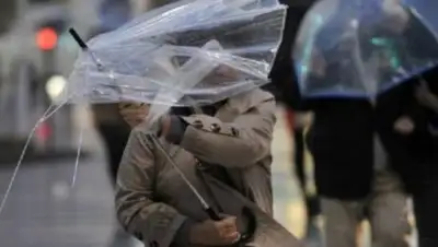 zakon.kz, фото - Новости Zakon.kz от 12.06.2018 15:32