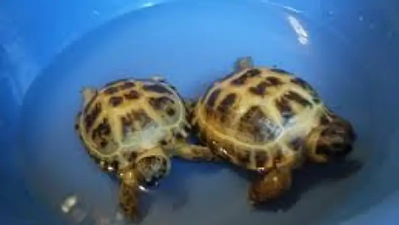 В ЮКО на складах для контрабанды теперь зверинец