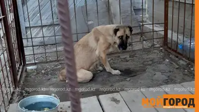 Мой город, фото - Новости Zakon.kz от 13.08.2019 09:27