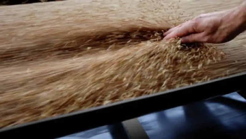 Казахстан рассчитывает создать Исламскую организацию по продбезопасности до конца 2015г