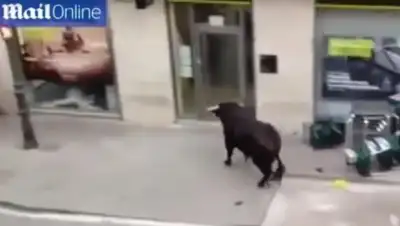 Zakon.kz, фото - Новости Zakon.kz от 28.07.2016 20:28