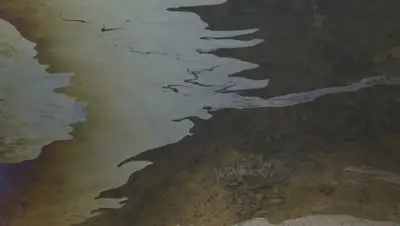 Zakon.kz, фото - Новости Zakon.kz от 24.01.2017 14:55