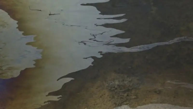 В Канаде разлилось 200 тысяч литров нефти