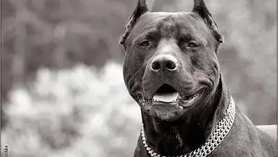 Zakon.kz, фото - Новости Zakon.kz от 14.11.2013 15:54