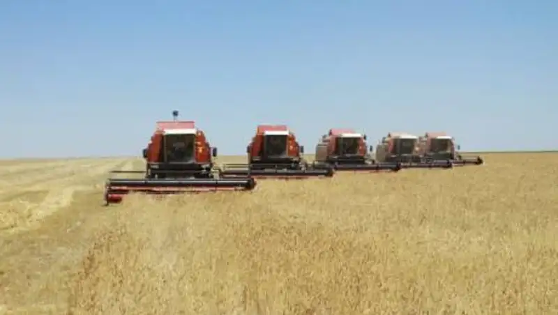 Жамбылская область занимает второе место в республике по экономическому росту