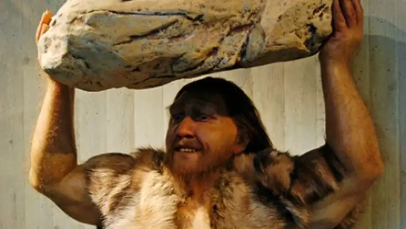 Названы сроки скрещивания человека разумного с неандертальцами