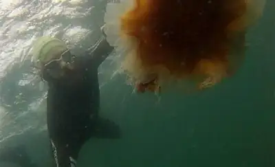 Zakon.kz, фото - Новости Zakon.kz от 13.11.2013 21:11