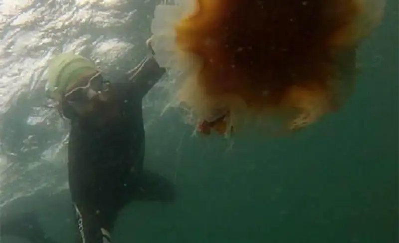 Пловец-экстремал обогнул Британию, распугивая медуз бородой