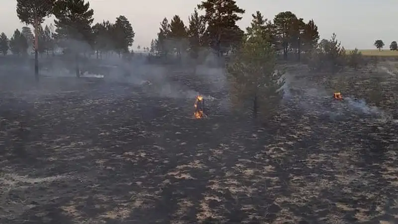 МЧС предупреждает о пожароопасной обстановке в Павлодарской области