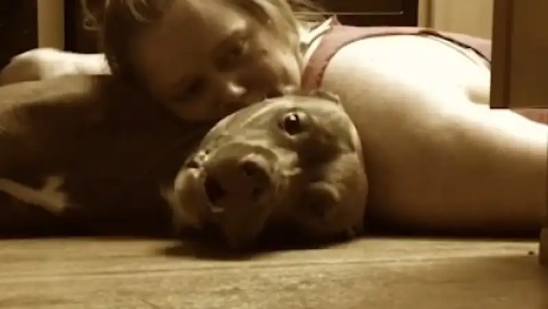 Девушка обучила собаку оказывать первую помощь при приступе эпилепсии