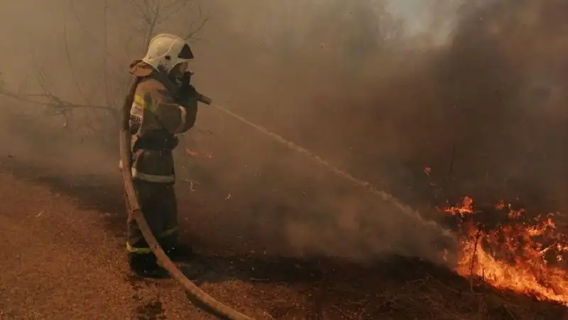 11 человек наказаны за сжигание травы в ВКО