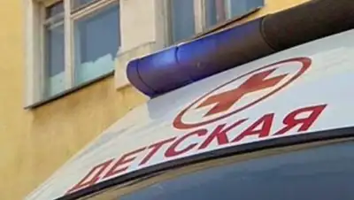 Клопс, фото - Новости Zakon.kz от 07.06.2018 21:01