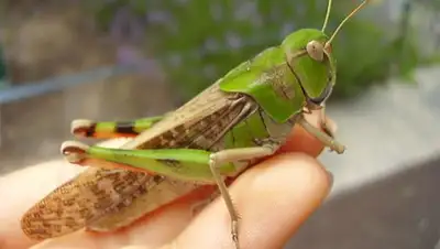 Zakon.kz, фото - Новости Zakon.kz от 28.04.2014 14:46