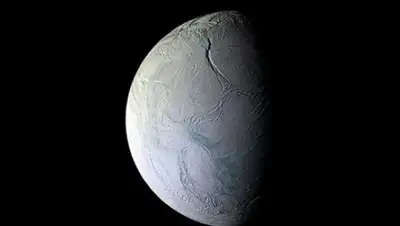 Zakon.kz, фото - Новости Zakon.kz от 24.05.2017 02:19