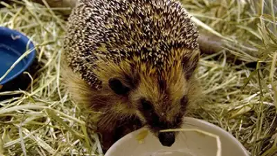 Zakon.kz, фото - Новости Zakon.kz от 05.03.2015 02:50