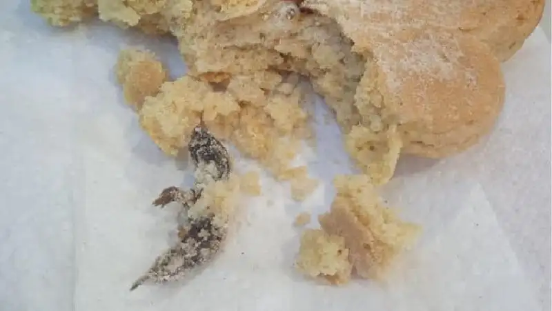 Мышь в коржике – ДСЭК провел проверку