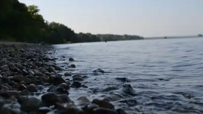 rifey.ru, фото - Новости Zakon.kz от 22.10.2018 13:14