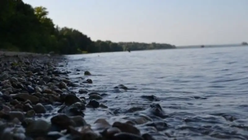 Тело пропавшего 4 месяца назад мальчика найдено в Алматинской области