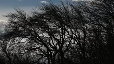 Zakon.kz, фото - Новости Zakon.kz от 26.05.2017 00:09