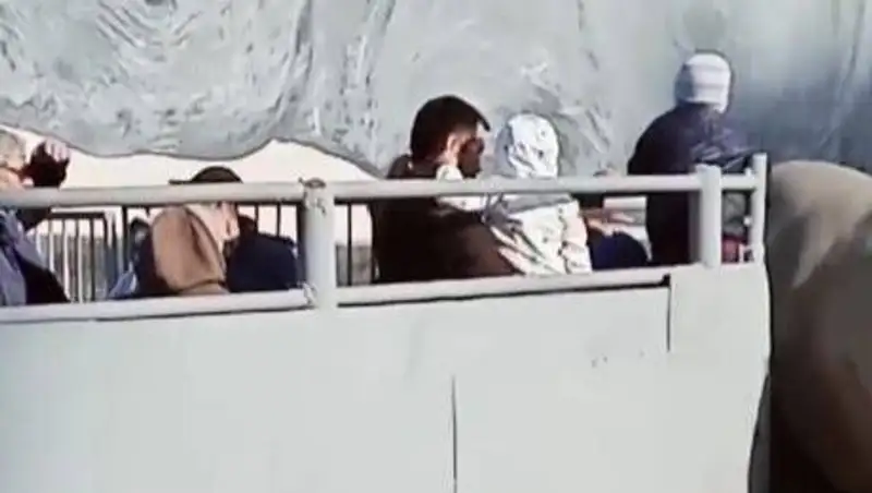 В соцсетях обсуждают видео, где ребенок погладил носорога в алматинском зоопарке