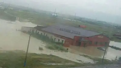 Zakon.kz, фото - Новости Zakon.kz от 24.07.2016 20:32