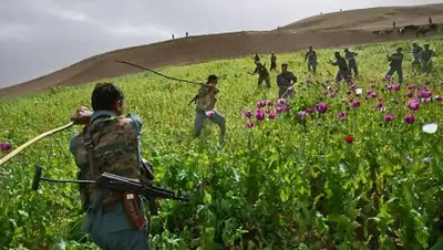 Zakon.kz, фото - Новости Zakon.kz от 10.05.2015 15:08