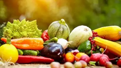 ren.tv, фото - Новости Zakon.kz от 04.10.2020 14:02