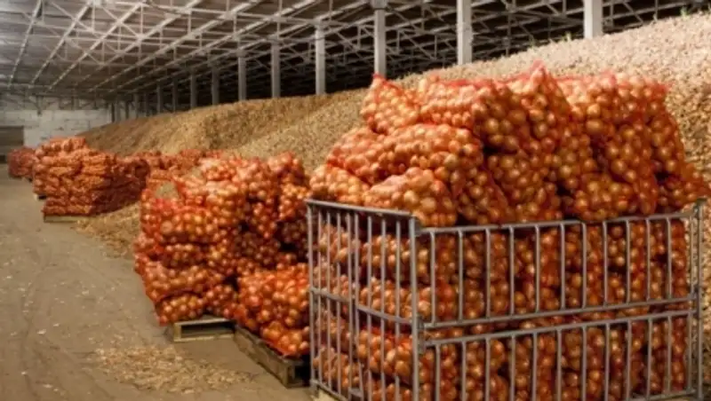 В Мангистауской области создадут три овощехранилища мощностью на 11 тысяч тонн