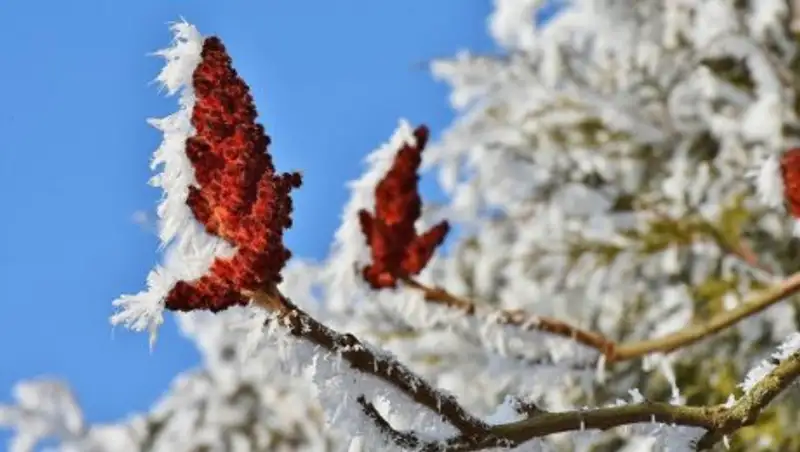 Водителям Алматинской области советуют побыть дома