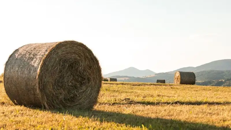 Стога сена загорелись от молнии в ВКО