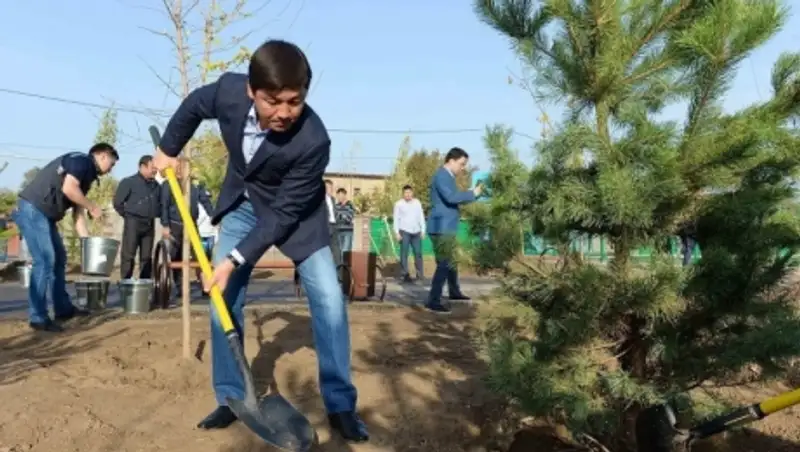 Осенью в Алматы планируют посадить 20 тысяч деревьев