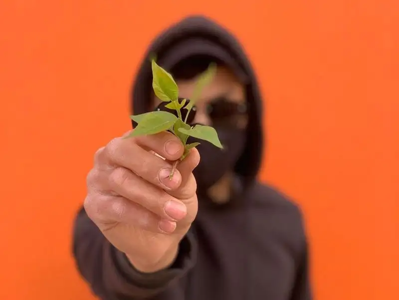 Кто ты, Человек в маске? Почему казахстанский Робин Гуд творит добро тайно