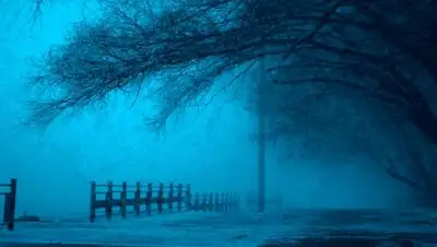 pexels.com, фото - Новости Zakon.kz от 04.03.2021 09:21