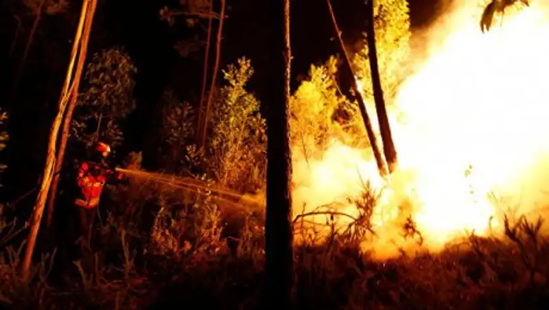 В Португалии объявлен трехдневный траур по жертвам лесного пожара