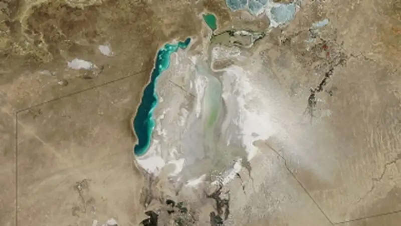 Казахстан совместно с Южной Кореей будет вести фитомелиорацию на бывшем дне Арала