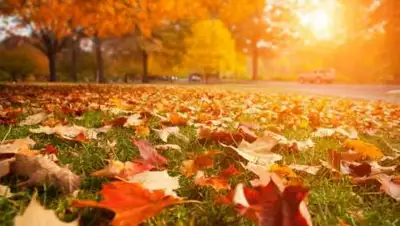 depositphotos, фото - Новости Zakon.kz от 20.10.2020 06:02