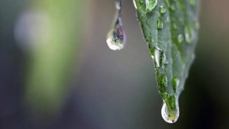 Гроза надвигается на Астану