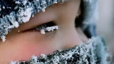 big-radio.ru, фото - Новости Zakon.kz от 28.01.2019 20:07