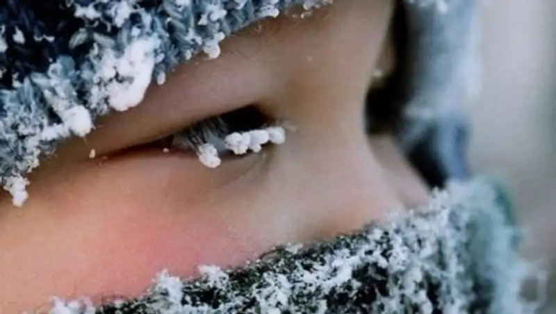 Запрещено высаживать за безбилетный проезд