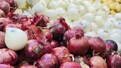 почему в Казахстане подорожал лук, фото - Новости Zakon.kz от 29.07.2022 10:48