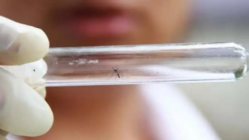 Ученые установили связь между вирусом Зика и синдромом Гийена-Барре