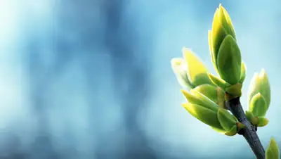 goroskop.guru, фото - Новости Zakon.kz от 01.04.2020 10:24