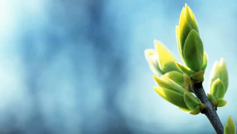 Несколько волн похолодания ожидают казахстанцев в апреле