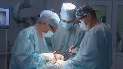 Zakon.kz, фото - Новости Zakon.kz от 12.11.2017 17:13