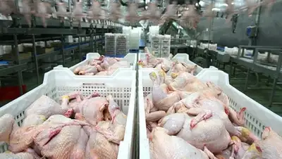 Zakon.kz, фото - Новости Zakon.kz от 15.03.2016 17:55