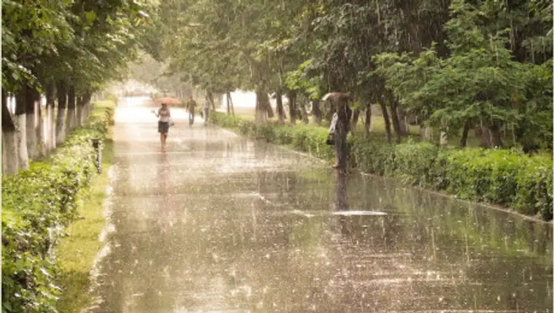 13 мая казахстанцев ожидают дожди, усиление ветра, туман