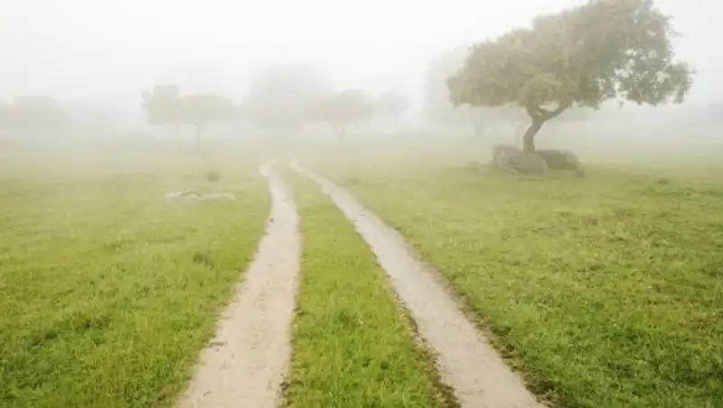 В центральных областях Казахстана ожидается туман