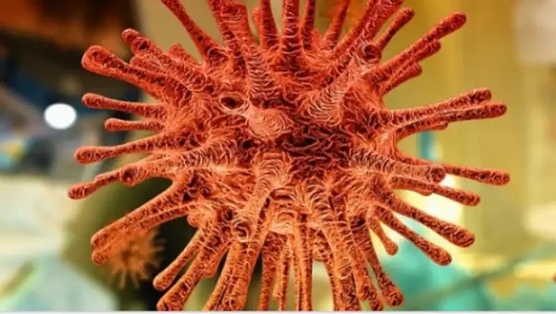 Бекшин озвучил динамику заражения коронавирусом в Алматы